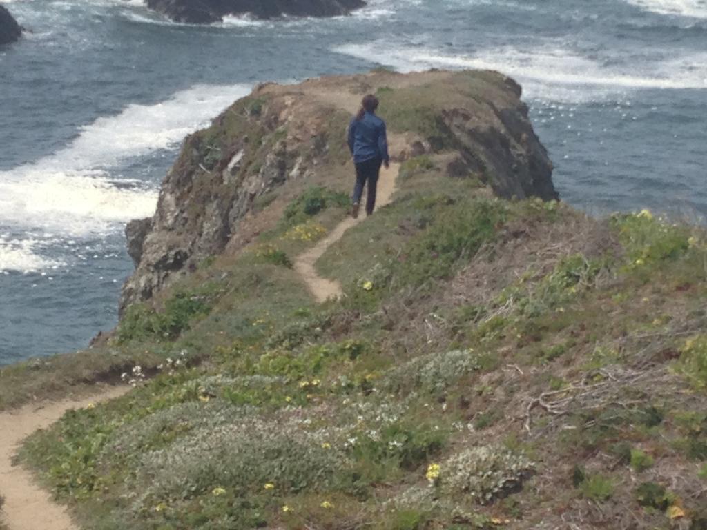 Joshua Grindle Inn Mendocino Bagian luar foto